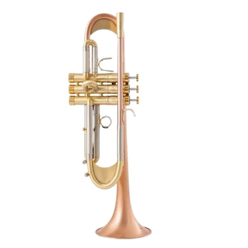 WIȃgybgy TR600GS BtbggybgyvXduVdグ⃁bLvtFbViptH[}X(B)