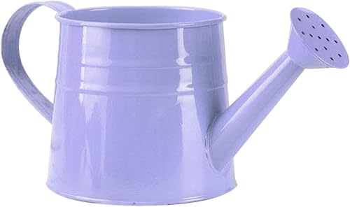 Gießkanne klein für den Zimmerpflanzen 1L, Blumengießkanne aus Metall, Giesskanne Pflanzengießkanne, kleine Gießkanne, Gartengießkanne Watering Can Blumentöpfe Kleine Vasen Gartenwerkzeug (Lila)