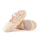 SANGEESON Ballet Shoes Women Canvas Dance Slippers