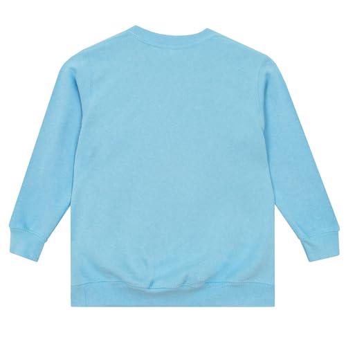 Disney Sweatshirt | Mickey Mouse Jumper | Mickey Mouse Sweater | Sizes 4 to 83