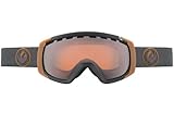 Dragon Alliance Rogue Ski Goggles