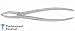 ProDentUSA Extracting Forceps #51a