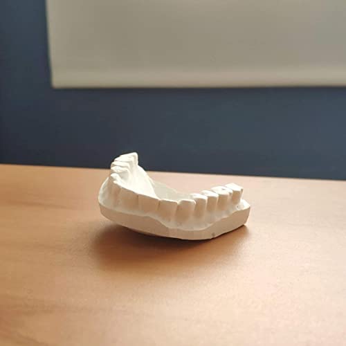 Plâtre Synthétique Type III Extra Blanc Artisanat, Idéal pour Moules En Latex, Usage Dentaire, 1,5 Kg De Matériel, Kit De Moulage Manuel En Plâtre, Sculpture Mains En Couple, Artisanat Adulte - Image 8