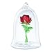 Swarovski Beauty and The Beast Enchanted Rose, Red and Green Crystal with Clear Base and Mouth-Blown Glass Bell Jar, Part of The Beauty and The Beast Collection