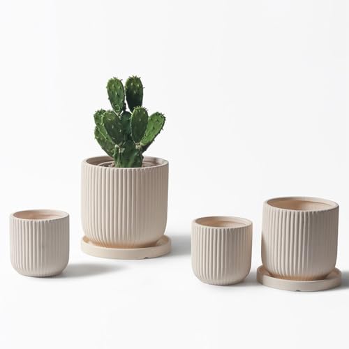 Fausses fleurs d'intérieur et cactus sublimés dans ce pot tendance M