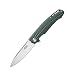Ganzo Firebird FH21 Green 60HRC D2 blade G10