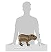 Folkmanis 3098 Capybara Hand Puppet, Brown, 1 EA