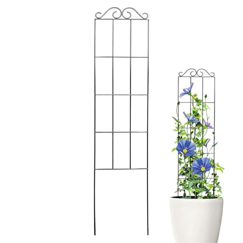 Rejilla para plantas en maceta de hierro apta para flores y verduras de interior 2