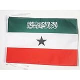 AZ FLAG