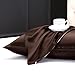 LILYSILK Pillowcase for Hair and Skin 100% Mulberry Silk 19 Momme Both Sides Silk Bed Pillow Cover with Hidden Zipper 1 Pc King 20''x36'' Chocolate Brown