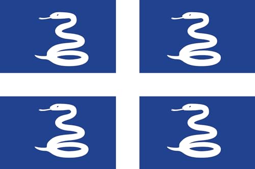 Drapeau Martinique grand format 2.16m² de qualité supérieure - 2