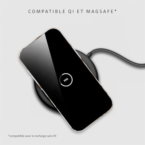 Coque iPhone Air Tigre caramel ONEFLOW avec protection caméra arrière robuste