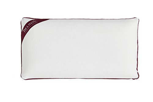 BELNOU - Oreiller Mousse À Mémoire De Forme (Disponible en Plusieurs Tailles), Couleur Blanc 70 Blanc Cover