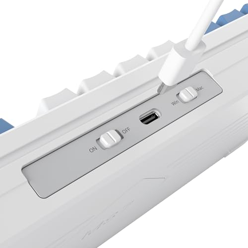 Image of Owpkeenthy 75 Percent Gaming Keyboard Gasket Mounted,87 Key TKL Mechanical Keyboard Hot Swappable Linear Pre-lubed Linear Switch South-Facing RGB Backlit for PC Laptop (N-Blue)