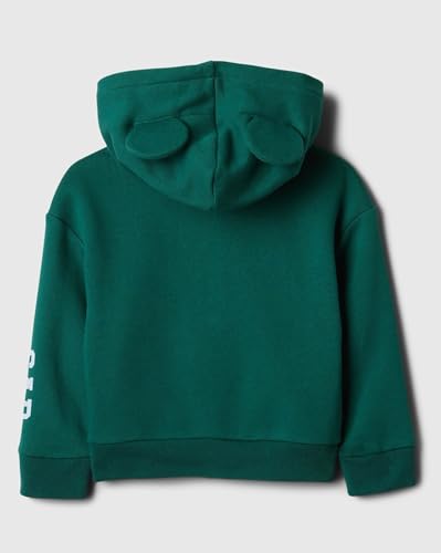 Image of GAP Boys Hooded Sweatshirt