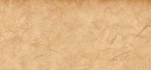 Rayher Japan-Seide, sand, auf Rolle, 150 x 70 cm, Seidenpapier zum Basteln und Einwickeln, Geschenkpapier, Bastelpapier, 81045504