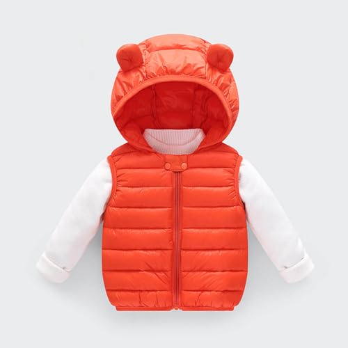 Boys Girls Cute Sleeveless Quilted Hooded Puffer Vest Lightweight Warm Winter Coats with Pockets Padded Down Jackets2