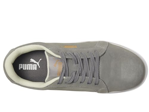 Image of PUMA Safety Iconic Leather Low ASTM SD