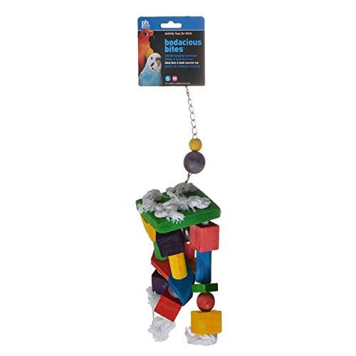 Image of Prevue Pet Products 60955 Bodacious Bites Crazy Legs Bird Toy, Multicolor