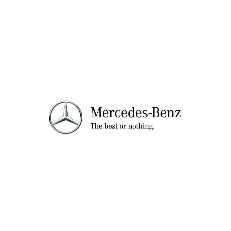 Mercedes-Benz-Genuine-Special-Grease-001-989-84-51-09 31nvcfcntsl. sl500 . ss800