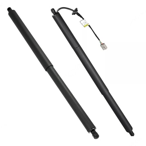 Vérin de hayon électrique gauche pour Ford Explorer 2011-2015 - 2
