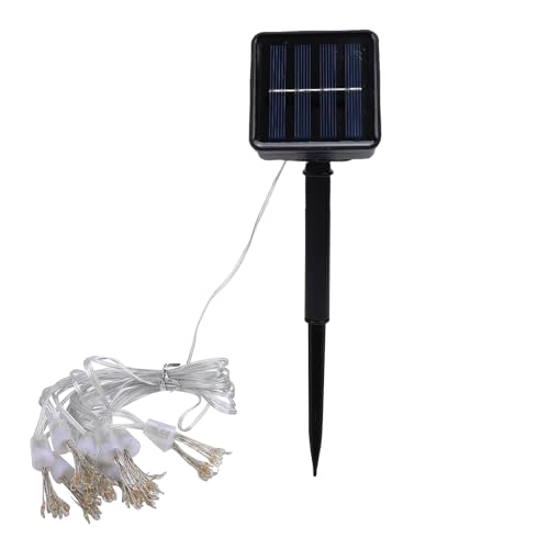 ciciglow Cadena de Luces LED con Energía Solar,Luces Solares con 8 Modos de Decorativas Flexibles,Cadena de Decorativas para Jardín Interior y Exterior (Color 3 Metros 100 Solar 8 Modos)