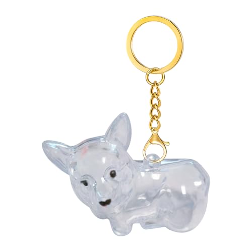 Krmoau Llavero Pelo Mascota - Llavero de Pelo Canino para Recuerdo,Amuleto Emocional Transparente con Compartimento | Para Uso en Coche Bolso o Como