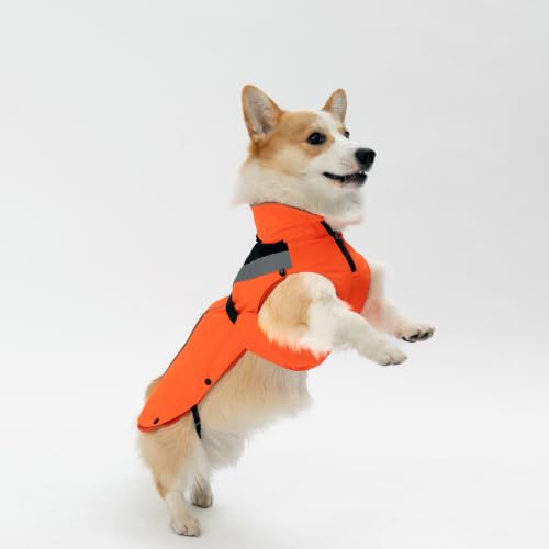 DOGOPAL 2in1 Allwetter-Hundemantel – Wasserdichter Hunderegenmantel mit herausnehmbarem Fleece – Regenmantel Hund für große, mittlere & kleine Hunde (Orange, M)
