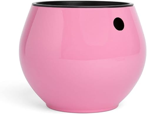 rePotme Maceta de riego automático de 6 pulgadas para plantas de interior, violetas africanas, suculentas, colección Aqua Core (rosa rubor)