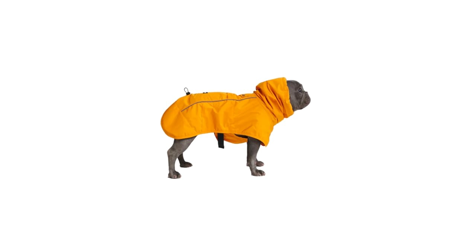 NASTY DOG フード付きジャケット イエロー chemical dog Hoodie