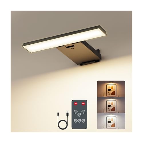 Feallive Applique Murale pour Tableaux, Dart Light 1 pièce avec télécommande Batterie rechargeable 6000 mAh Applique murale Intérieur 3 températures de couleur pour...