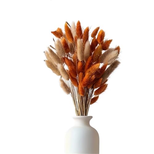 Bouquet de 60 ramas de pasto pampas secas para decoración miniatura 1