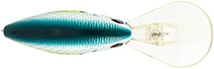 Team Livingston Series Howeller Deep Plus Bluetreuse Shad