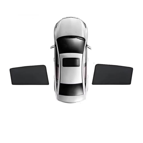 ToCU[ ɓK tFS  ɓK 500 E3 DFSK hZX ix3 Cirelli 2 vX Ruichi S513 Landian A_}[j DMV 300 2020-2025 ToCU[(2PCS Rear)