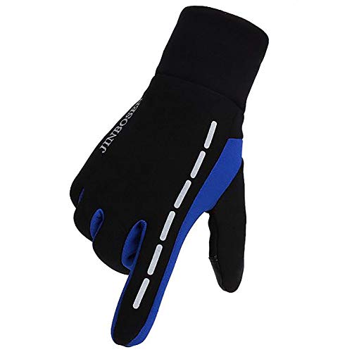 axelens Guantes Pantalla Tactiles Tecnicos Calientes Termicos Antivientos por Outdoor y Scooter - por Smartphone y Tableta L - Negro/Azul