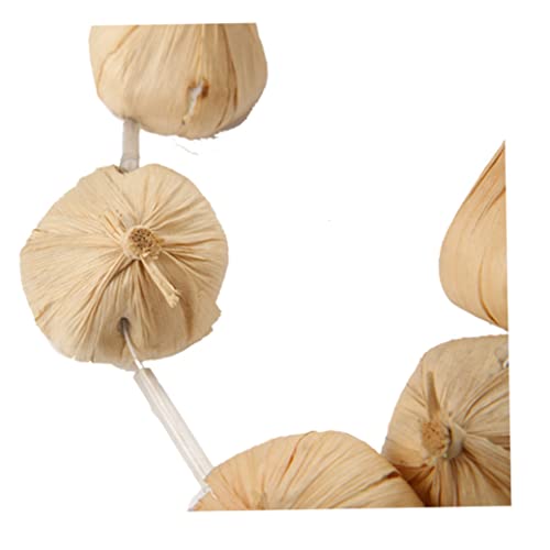 Garlic Garland on Necklace for Vampire Slayer Fancy Dress Costume3