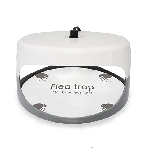Alnicov 10 Stück Flohfallen-Aufkleber, rund, klebrige Fliegenfallen, Kuppel, Flohfalle, Nachfüllung für Zuhause, Schlafzimmer, Haustierhaus