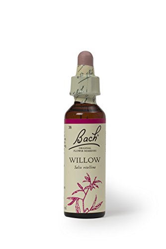 Bach Original Flower Remedies, Willow - Forgive & Forget - Natural Homeopathic Flower Essence for Emotional Balance - Vegan, Gluten Free, Sugar Free - 20mL Dropper
