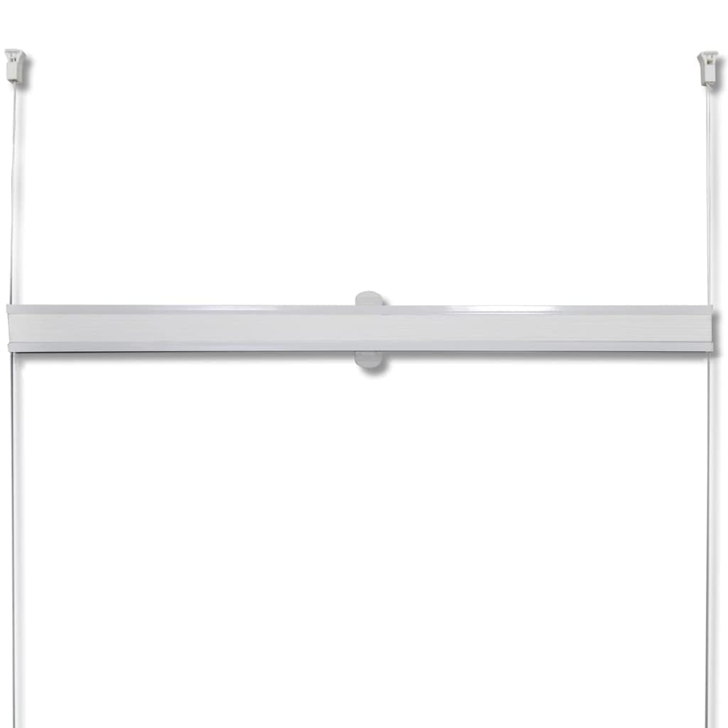 vidaXL Plisowana roleta, biała (40x100cm).
