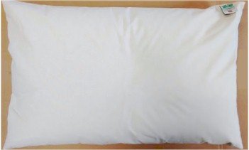 Brow Farm Organic Buckwheat Pillow