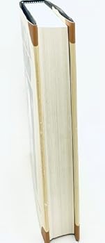 Hardcover Once a Hero: The True Story of One Man's Tragic Odyssey from Vietnam to Leavenworth Book