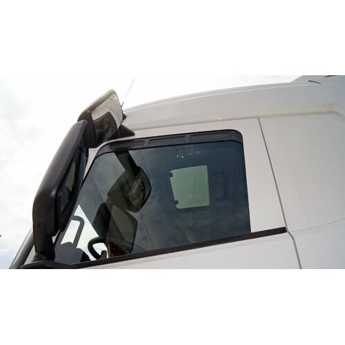 1 deflettore d'aria con zanzariera per Mercedes Actros MP4 MP5 F L (09/11-)