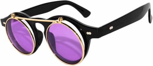Image of OWL Steampunk Vintage Retro Round Circle Gothic Hippie Colored Plastic Frame Sunglasses Colored Lens