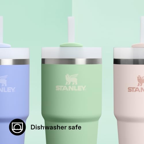 STANLEY 1913 Quencher H2.0 FlowState Trinkbecher 0.59L - Pistachio – Ansicht 6