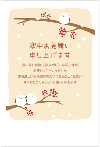 寒中見舞い ハガキ 5枚 切手付き官製はがき アルファプリントサービス公式〈KC114 雪の妖精02〉