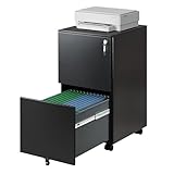 DEVAISE 2-Drawer Mobile File Cabinet with Lock, Commercial Vertical Cabinet in Black