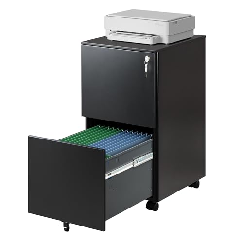 DEVAISE 2-Drawer Rolling File Cabinet with Lock, Metal Filing Cabinet