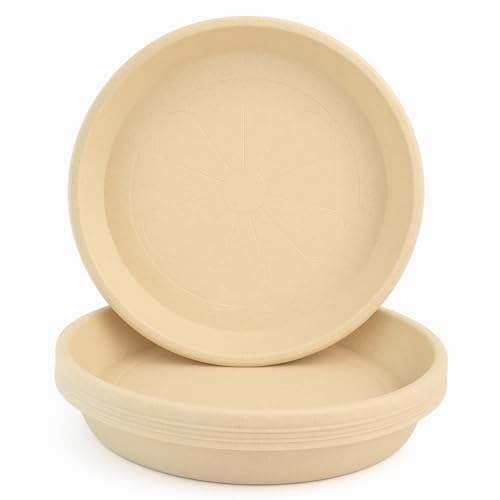 Home Garden Ornaments Plato Maceta Redondo 12.5cm de Diámetro Beige Mármol Juego de 5 - Duradero Platos Macetas Plastico - Platos para Macetas para Exteriores e Interiores (Ø12.5cm, Beige Mármol)