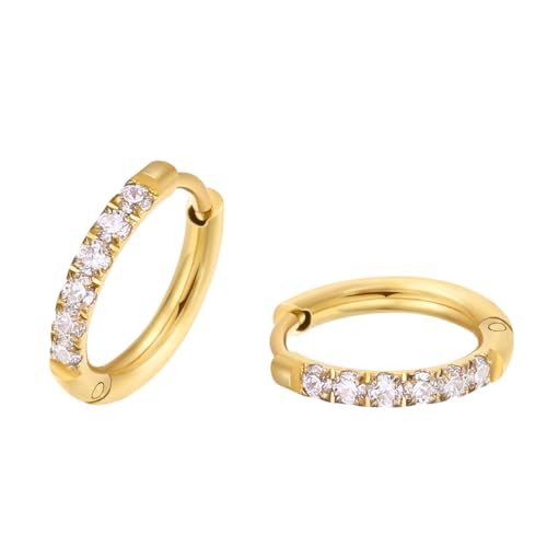 ENVYOU 316L Surgical Steel Huggie Hoop Earrings,Dainty Pave Cubic Zirconia Cartilage Tiny Earring for Sensitive Ears Hypoallergenic Lightweight for Women Men, 10mm, Surgical Steel, Cubic Zirconia
