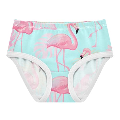 Pink Flamingos Pastel Leaves Blue Girls Underwear Toddler 2t Cotton Girl Panties Cute Fancy Undies Kids Briefs
